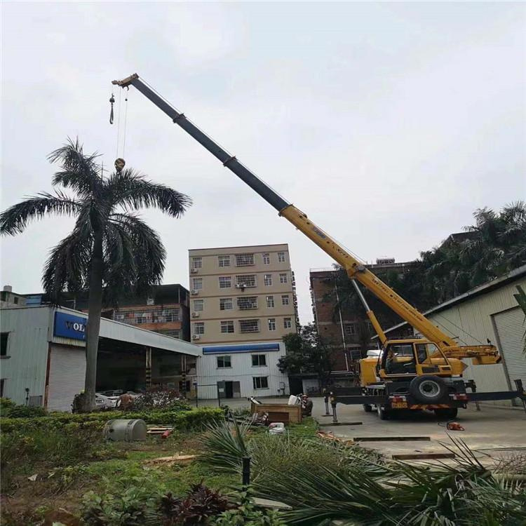 藤县吊车吊大树几种方法